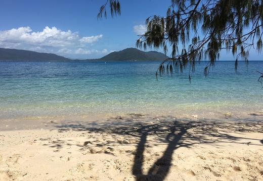 Fitzroy Island